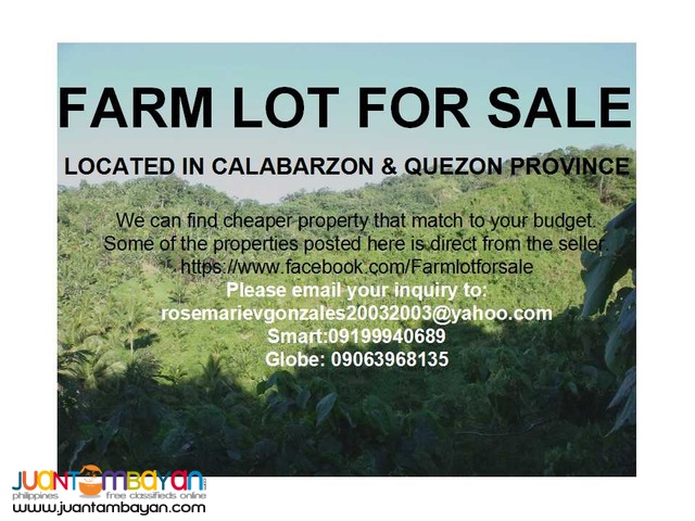 Farm Lot for Sale