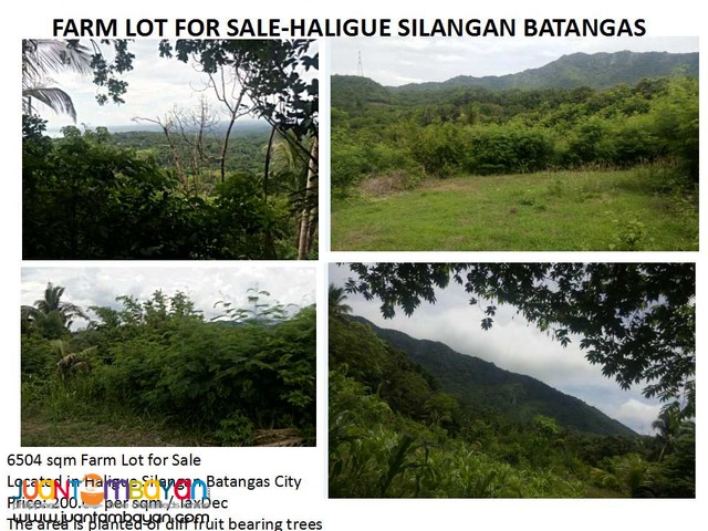 Farm Lot for Sale