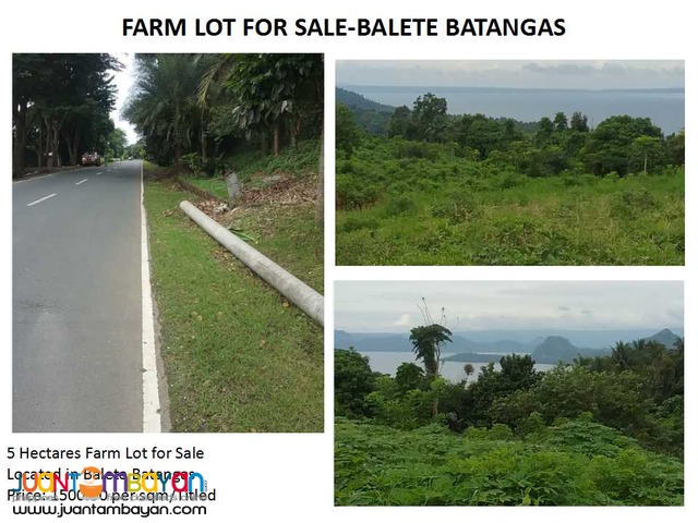 Farm Lot for Sale