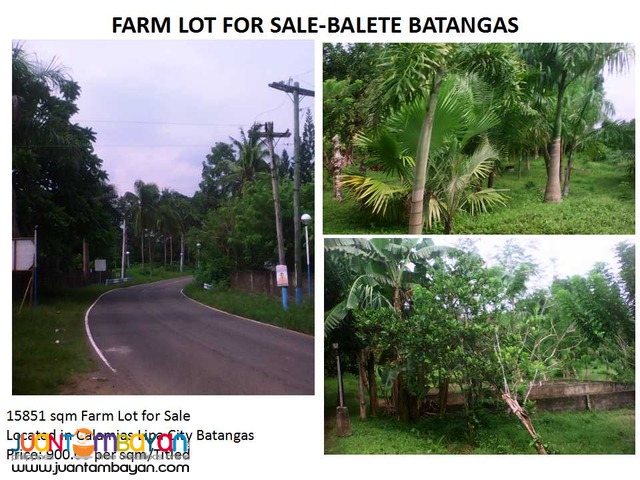 Farm Lot for Sale