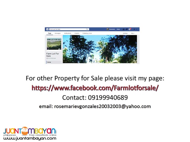 Farm Lot for Sale