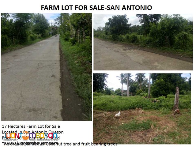 Farm Lot for Sale