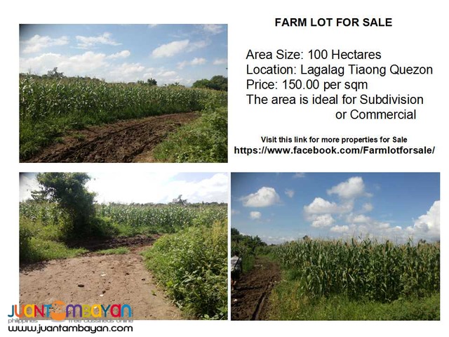 Farm Lot for Sale