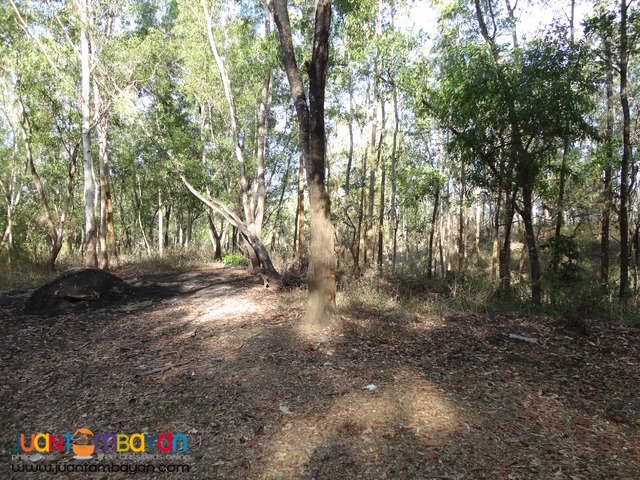 Lot for Sale in Palayan City