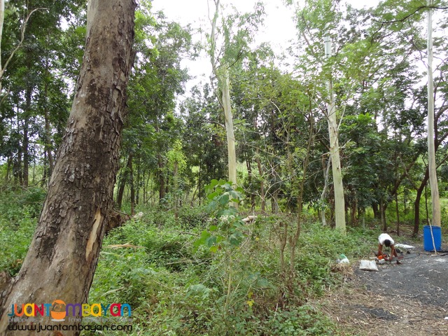 Lot for Sale in Palayan City