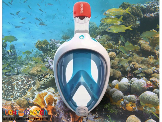 TRIBORD EASYBREATHE SNORKELING MASK