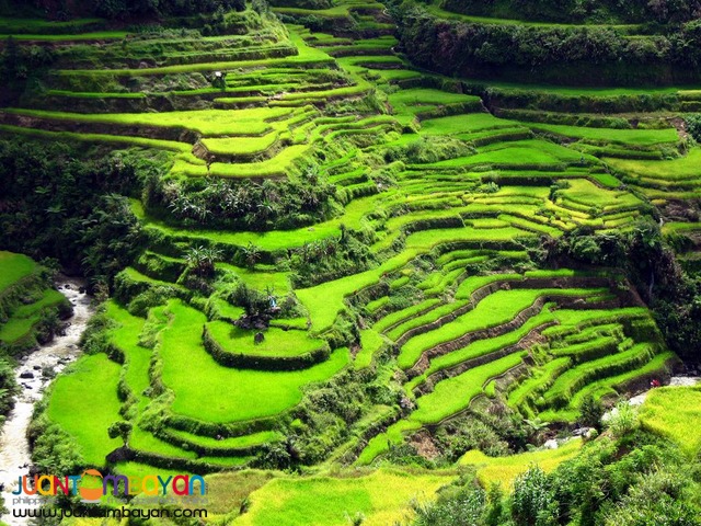 Baguio Summer Adventure Tour 2 Days/1 Night  PHP 1,999