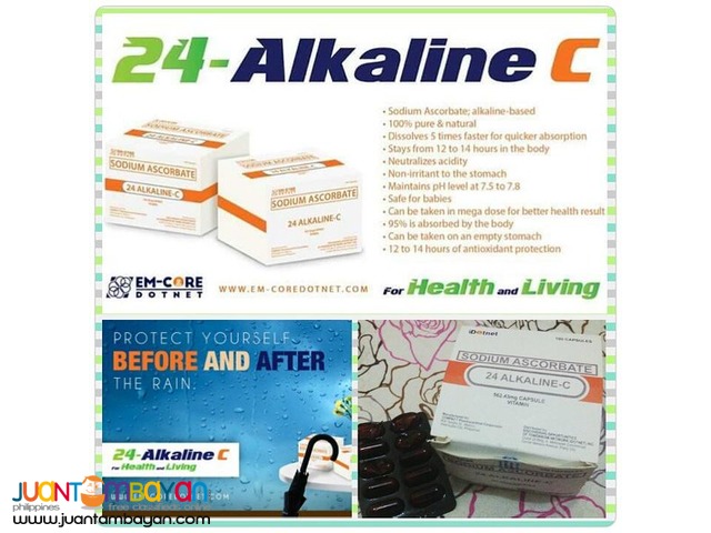 24 Alkaline C