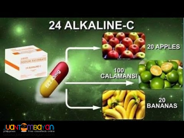 24 Alkaline C