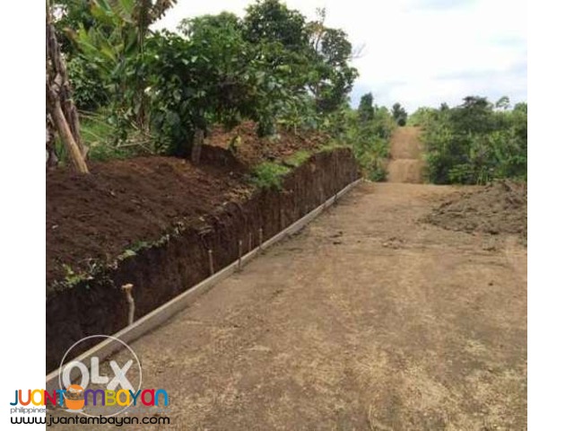 Farm lots For Sale at Amadeo, Cavite