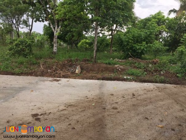 Farm lots For Sale at Amadeo, Cavite