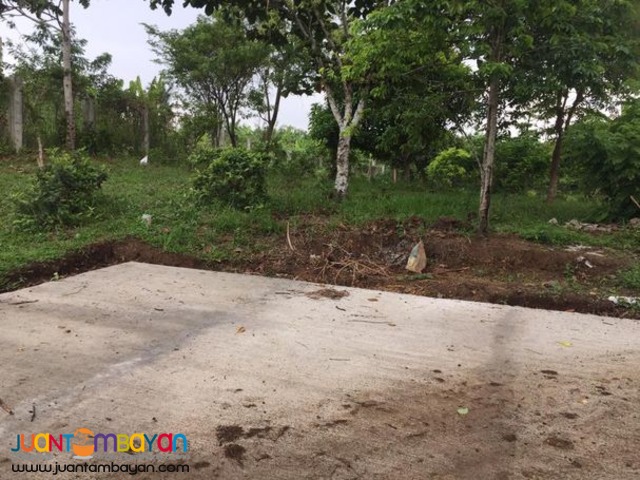 Farm lots For Sale at Amadeo, Cavite