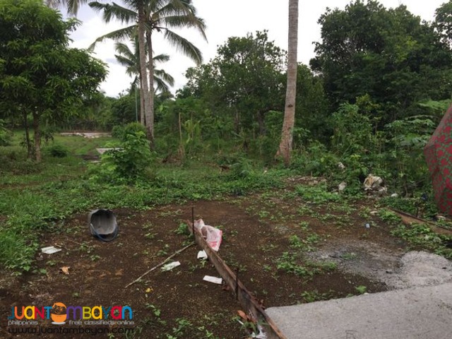 Farm lots For Sale at Amadeo, Cavite