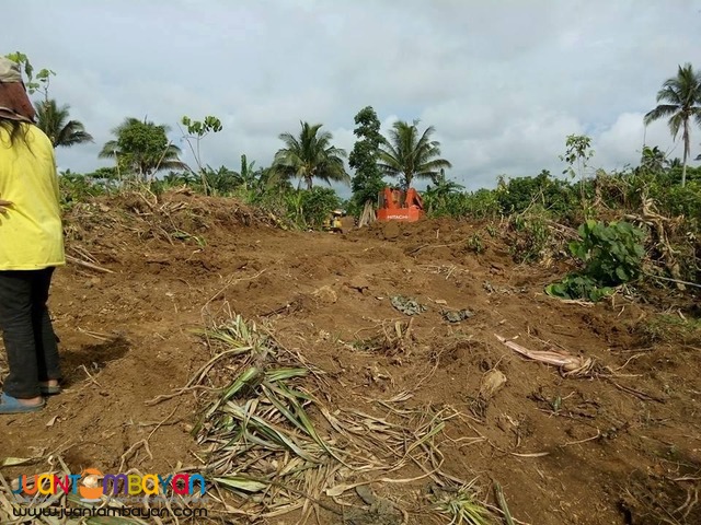 Farm lots For Sale at Amadeo, Cavite