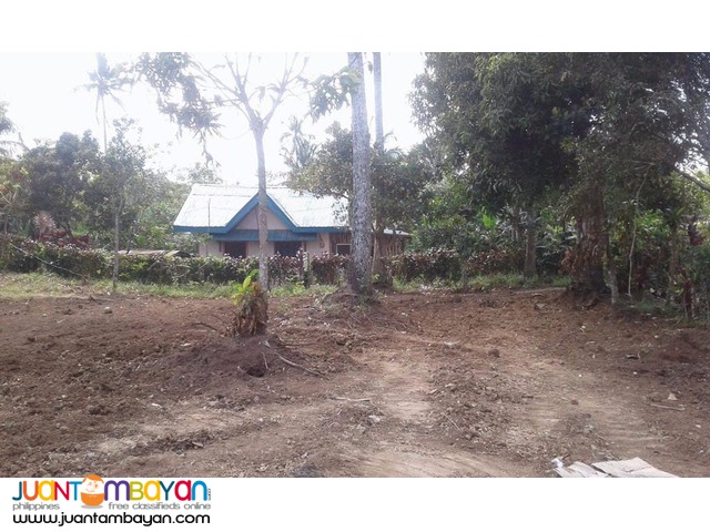 Farm lots For Sale at Amadeo, Cavite