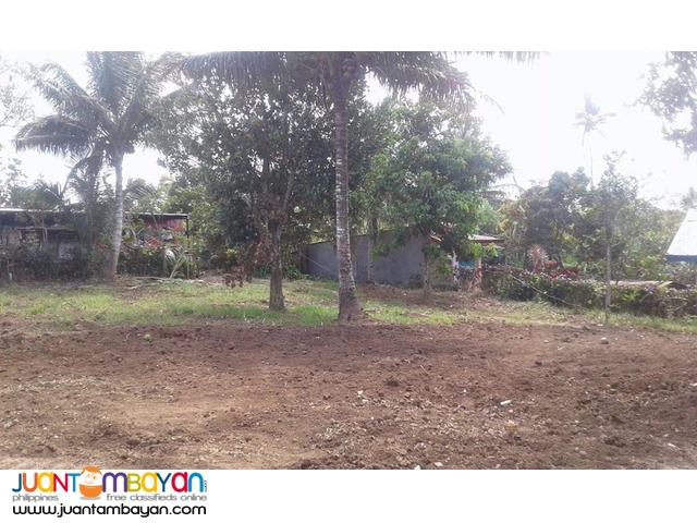 Farm lots For Sale at Amadeo, Cavite