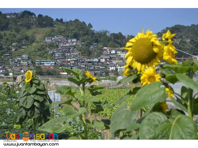 BAGUIO TOUR PACKAGE