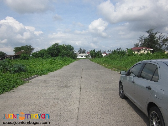 Lot in Baybreeze Executive Village Taguig City 