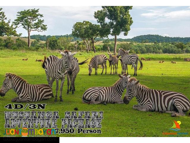 Busuanga Safari Adventure Package