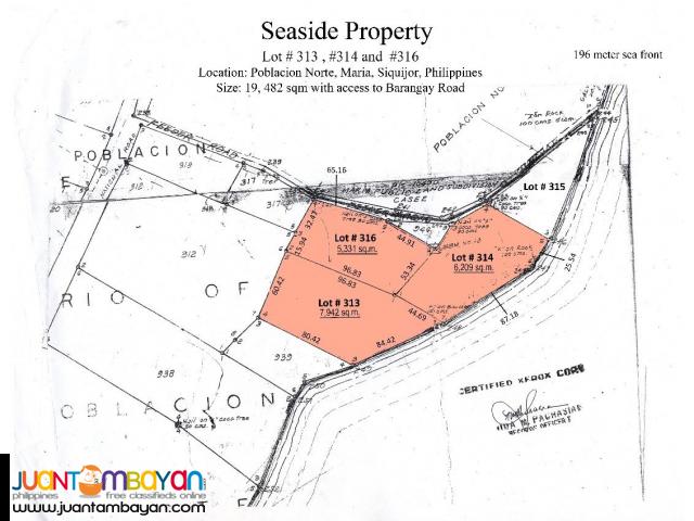 Maria, Siquijor 3 Lots for Sale 14,611,500.00 Phil. Peso