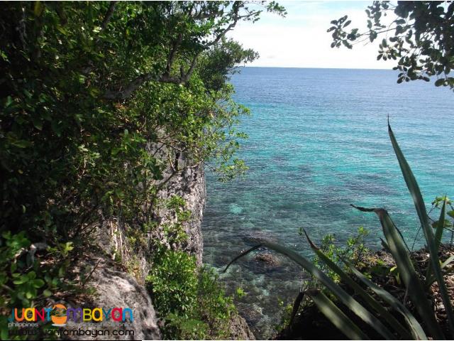 Maria, Siquijor 3 Lots for Sale 14,611,500.00 Phil. Peso