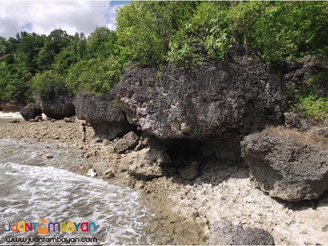 Maria, Siquijor 3 Lots for Sale 14,611,500.00 Phil. Peso