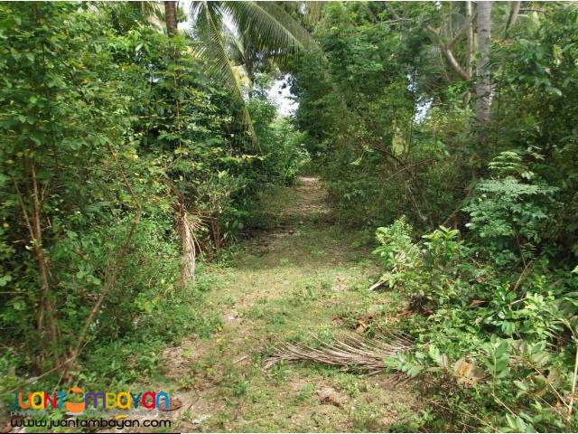 Maria, Siquijor 3 Lots for Sale 14,611,500.00 Phil. Peso