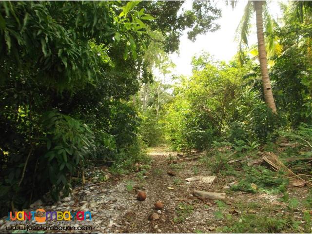 Maria, Siquijor 3 Lots for Sale 14,611,500.00 Phil. Peso