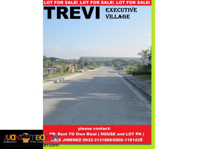 Trevi Executive marikina LOT FOR SALE ALONG HIWAY BEST INVESTMENT