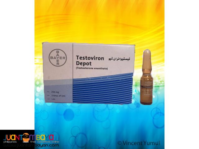 Test Enanthate ( Test Enan / Testoviron / Bayer )