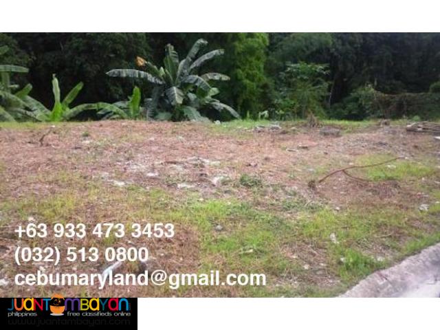 247 Sq M Lot For Sale At Hacienda Salinas Lahug Cebu City