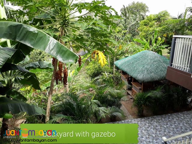 Farm lot for sale at Morong, Rizal