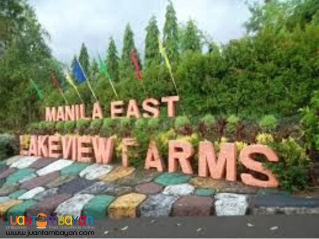 Farm lot for sale at Morong, Rizal