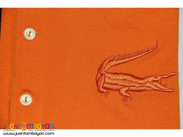 big croc lacoste polo