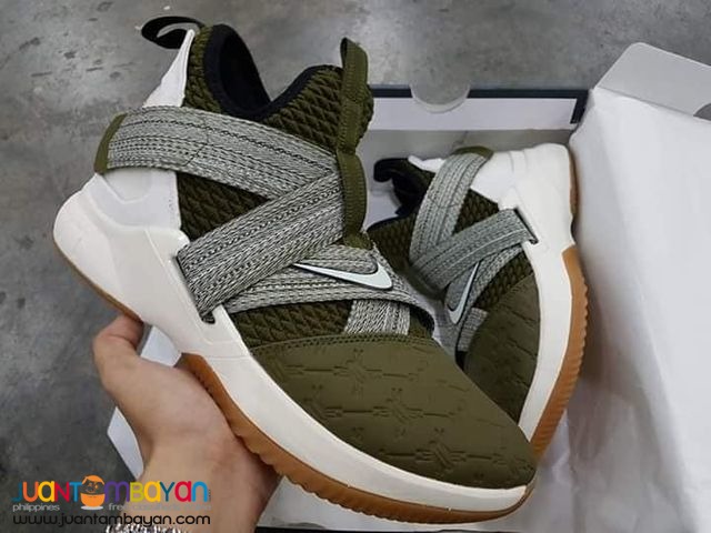 nike lebron soldier 12 land and sea