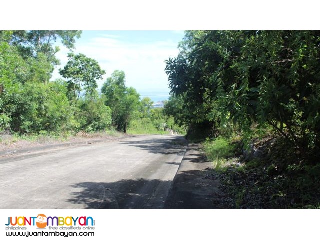 Lot for Sale at Alta Visa in Pardo, Cebu City