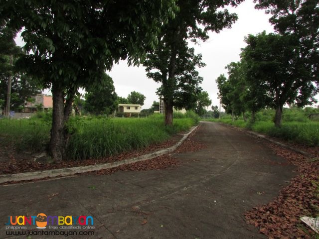 Lots for sale at Manville Royale Subdivision in Bacolod City