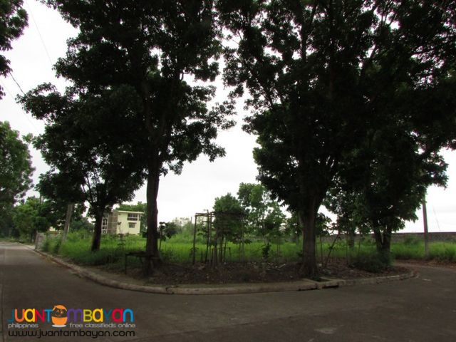 Lots for sale at Manville Royale Subdivision in Bacolod City