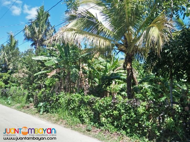 300sqm lot in Alfonso Cavite transfer of title is included on TCP