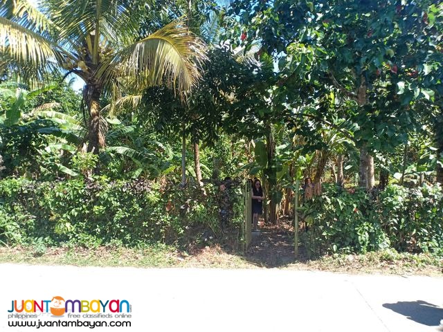 300sqm lot in Alfonso Cavite transfer of title is included on TCP