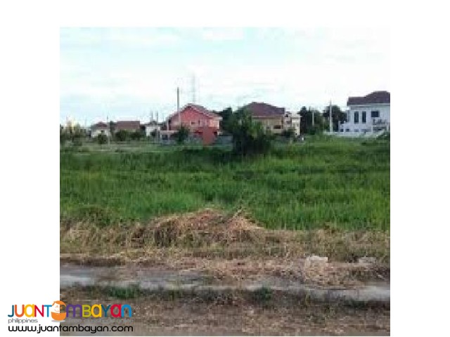 LOTS FOR SALE IN MADERA GROVE ESTATES MALOLOS, BULACAN