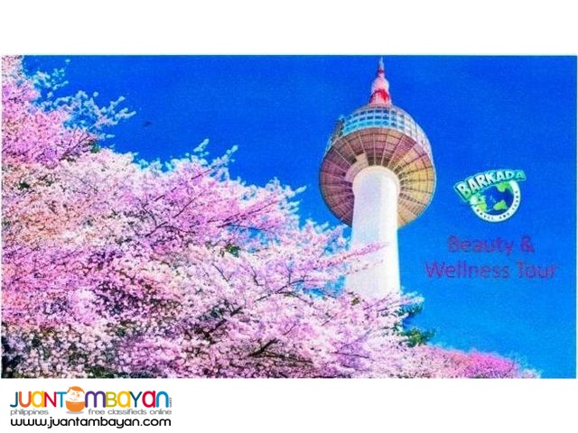 Korea Travel Package