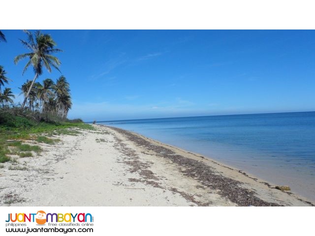 Lot near the Beach Front Ilog Malino Bolinao Pangasinan