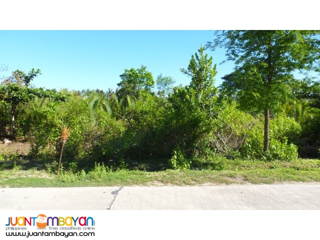 Lot near the Beach Front Ilog Malino Bolinao Pangasinan