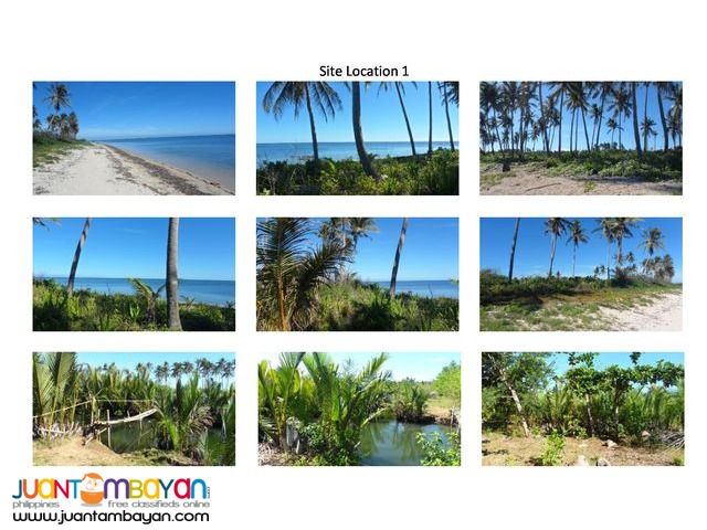 Lot near the Beach Front Ilog Malino Bolinao Pangasinan