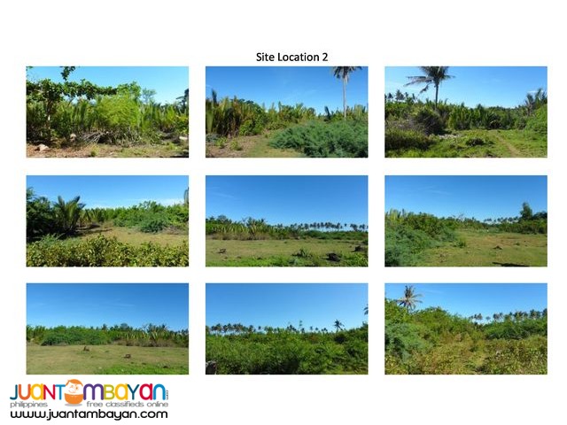 Lot near the Beach Front Ilog Malino Bolinao Pangasinan