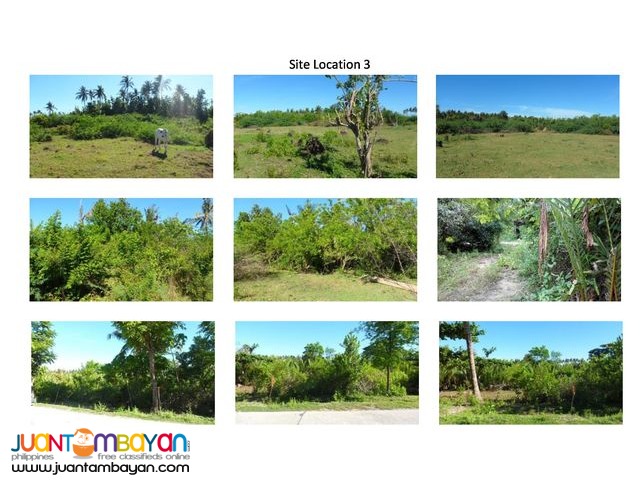 Lot near the Beach Front Ilog Malino Bolinao Pangasinan