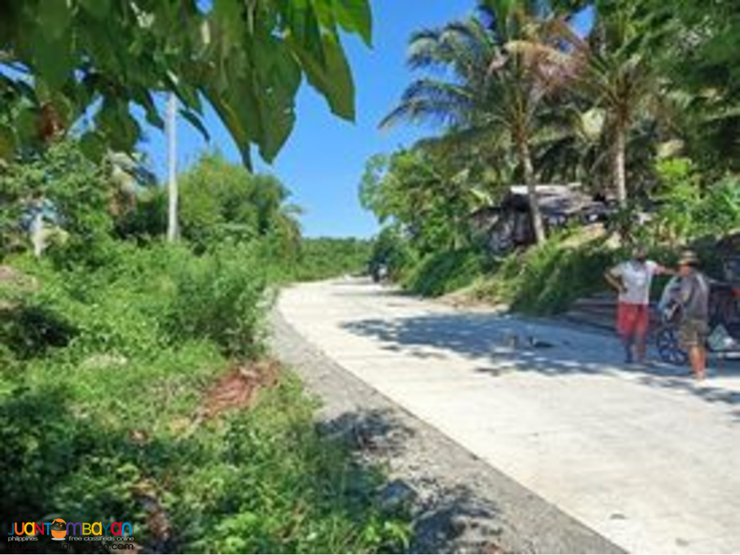 279 Square Meters Lots for Sale in Brgy. Reserva, Baler, Aurora