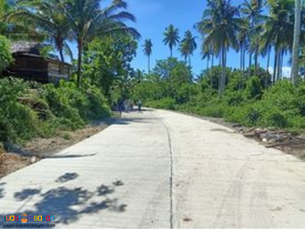 279 Square Meters Lots for Sale in Brgy. Reserva, Baler, Aurora