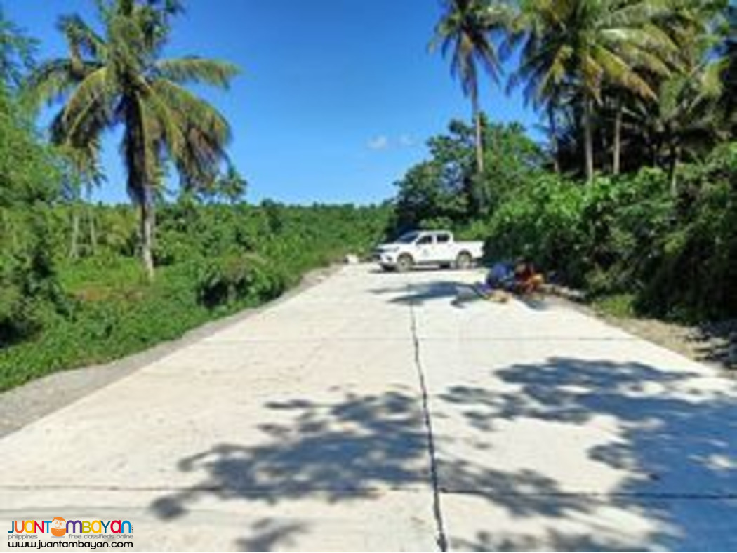 279 Square Meters Lots for Sale in Brgy. Reserva, Baler, Aurora